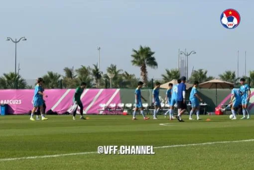 Theo Dõi Các Kênh Thông Tin Của VZ99